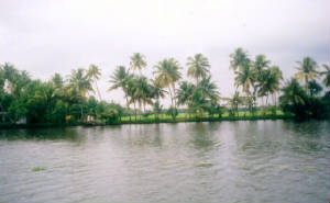 keralabackwater2.jpg